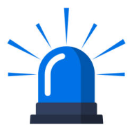 Blue Light Emergency Services